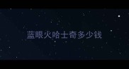 蓝眼火哈士奇多少钱