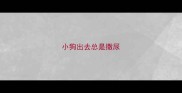 小狗出去总是撒尿