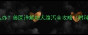 小狗拉软便怎么办兽医详解幼犬腹泻全攻略附科学应对方案