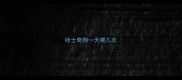 哈士奇狗一天喂几次