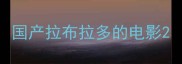 国产拉布拉多的电影