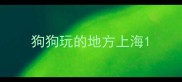 狗狗玩的地方上海