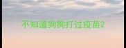 不知道狗狗打过疫苗