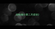边牧细小第二天症状