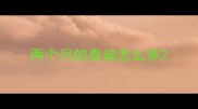 两个月的泰迪怎么养