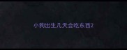 小狗出生几天会吃东西