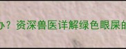 哈士奇眼屎发绿怎么办资深兽医详解绿色眼屎的7大诱因与护理指南
