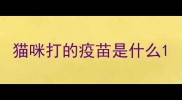 猫咪打的疫苗是什么