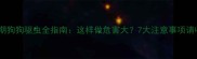 疫苗期狗狗驱虫全指南这样做危害大7大注意事项请收好