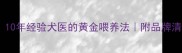 泰迪犬必看10年经验犬医的黄金喂养法附品牌清单避坑指南