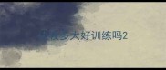 边牧多大好训练吗