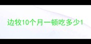 边牧10个月一顿吃多少