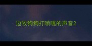边牧狗狗打喷嚏的声音