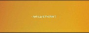 为什么金毛不吃狗粮了