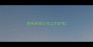 猫咪洗澡后可以打针吗