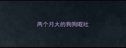两个月大的狗狗呕吐