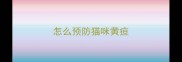 怎么预防猫咪黄疸