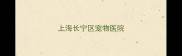 上海长宁区宠物医院