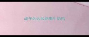 成年的边牧能喝牛奶吗