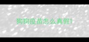 狗狗疫苗怎么真假