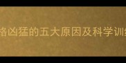 金毛犬性格凶猛的五大原因及科学训练指南1