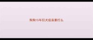 狗狗15年狂犬疫苗要打么