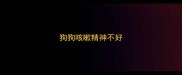 狗狗咳嗽精神不好