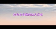 拉布拉多病的幼犬症状