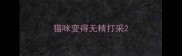 猫咪变得无精打采