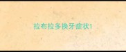 拉布拉多换牙症状