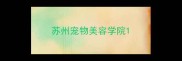 苏州宠物美容学院