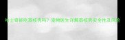 哈士奇能吃荔枝壳吗宠物医生详解荔枝壳安全性及风险