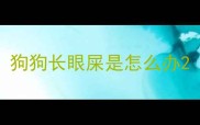狗狗长眼屎是怎么办