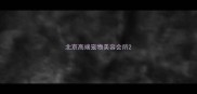 北京高端宠物美容会所