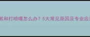 狗狗咳嗽和打喷嚏怎么办5大常见原因及专业应对指南