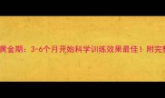 泰迪犬训练黄金期3-6个月开始科学训练效果最佳附完整训练指南