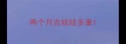 两个月吉娃娃多重