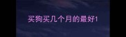 买狗买几个月的最好