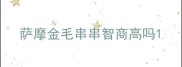 萨摩金毛串串智商高吗
