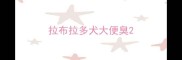 拉布拉多犬大便臭