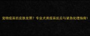 宠物疫苗后皮肤发黑专业犬类疫苗反应与紧急处理指南