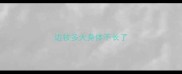 边牧多大身体不长了