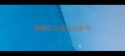 狗狗可以坐公交车吗