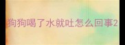 狗狗喝了水就吐怎么回事
