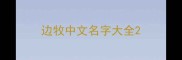 边牧中文名字大全