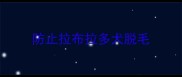 防止拉布拉多犬脱毛