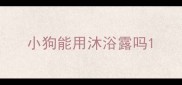 小狗能用沐浴露吗