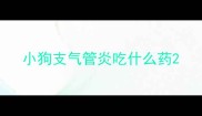 小狗支气管炎吃什么药