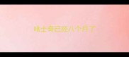 哈士奇已经八个月了