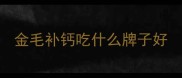金毛补钙吃什么牌子好